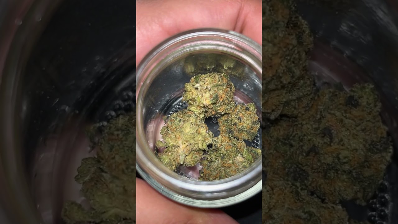 #cannabiseducation #verdelucido #cannabisflower #indoorplants #indica #weed #smoke