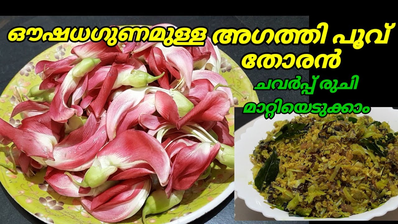 ഔഷധ ഗുണങ്ങളാൽ സമൃദ്ധമായ അഗത്തിപൂവ്|(അഗസ്തിചീര)| #agathicheera#kollamruchi #malayalam 