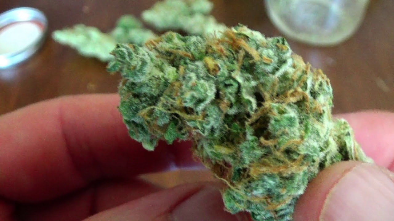 Oklahoma Cannabis Cup 2020 - Indica Entry - Blue Kushberry - Stone's Family Farm