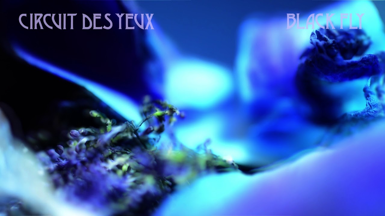 Circuit des Yeux 
