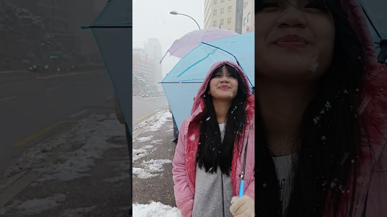 Seoul Strong Snow in November 27, 2024