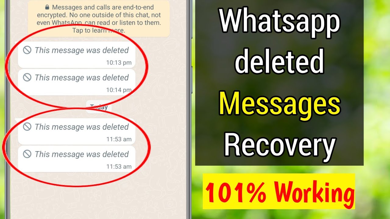 Whatsapp Deleted Messages Recovery | How to See Deleted Messages on Whatsapp