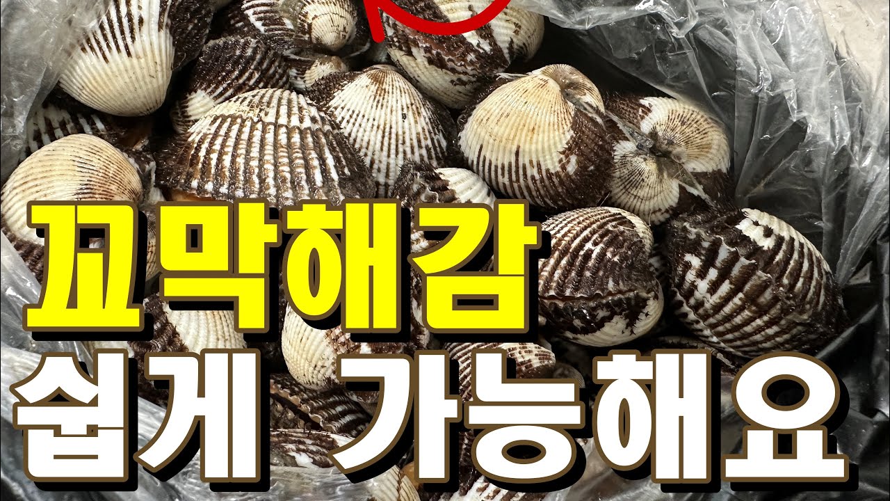 꼬막해감 이렇게 하면 쉽게 가능해요!