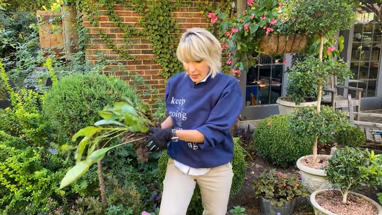 Moving Perennials around the Garden