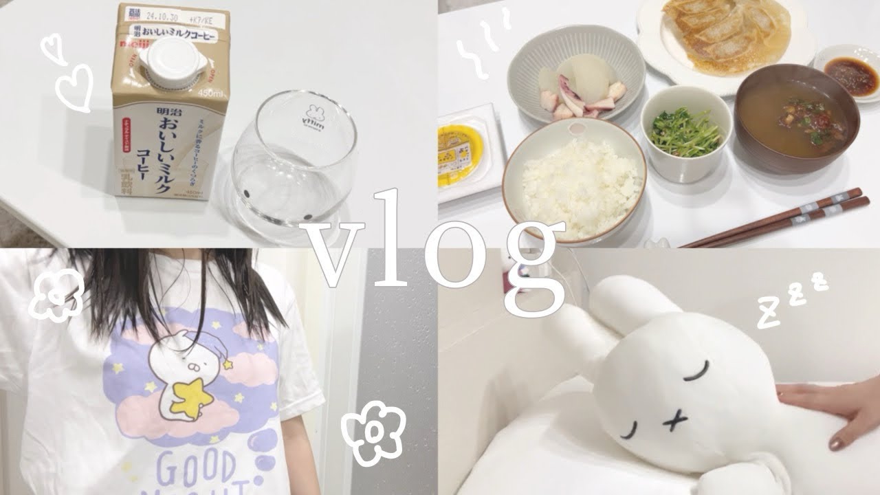 【vlog】仕事終わりのナイトルーティン🌙/社会人の日常/スキンケア/ヘアケア