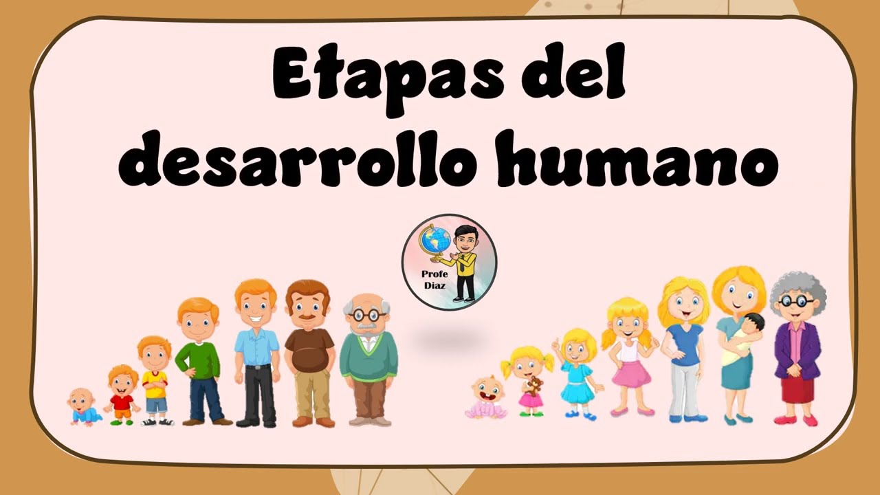 Etapas del desarrollo humano