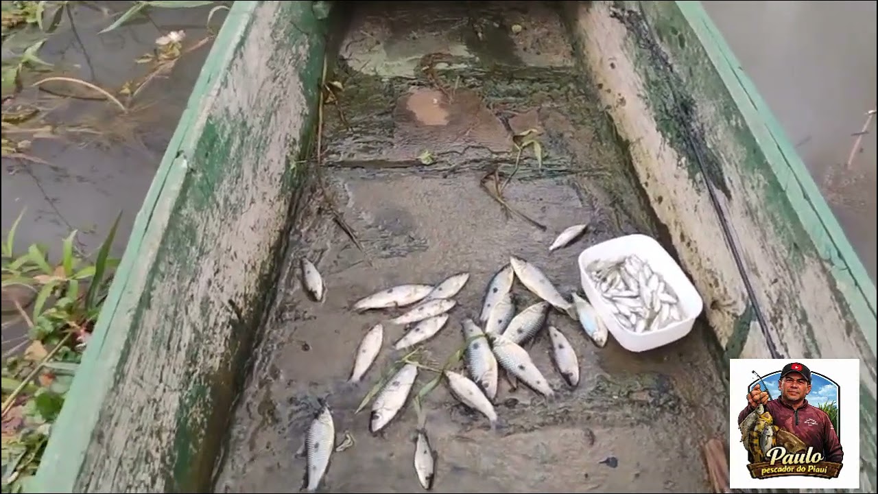 Muito Peixe 😁
