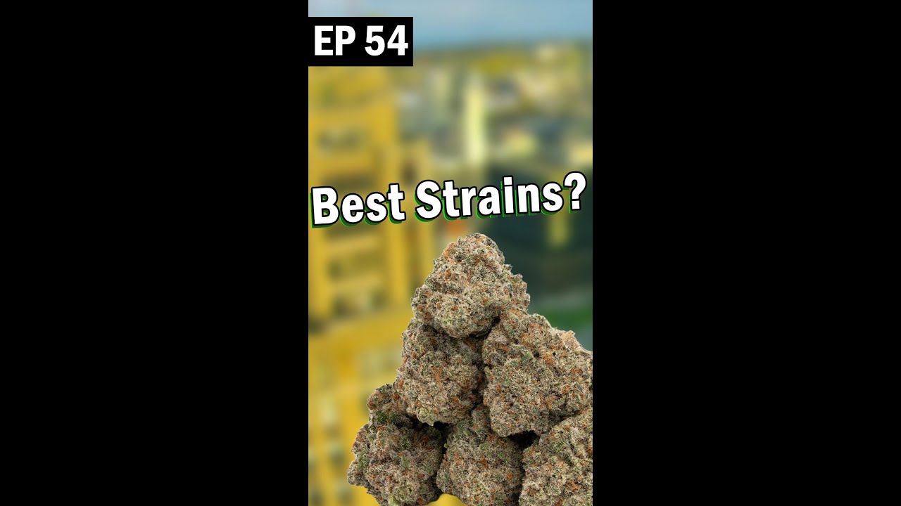 Best Strains