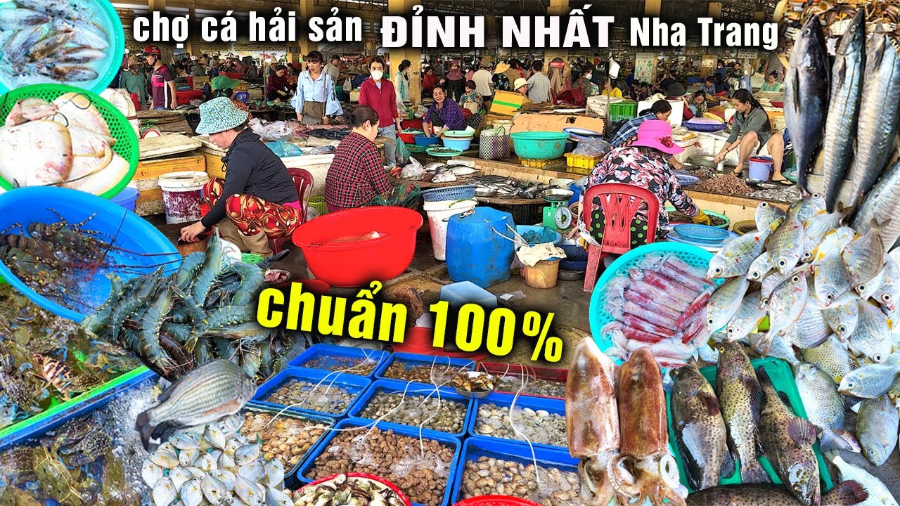 Chợ Cá Hải Sản Đỉnh Nhất Nha Trang Ko Hề Nói Thêm Mời Cả Nhà Xem Sẽ Biết Rẻ Hay Mắc Và Nhiều Cỡ Nào