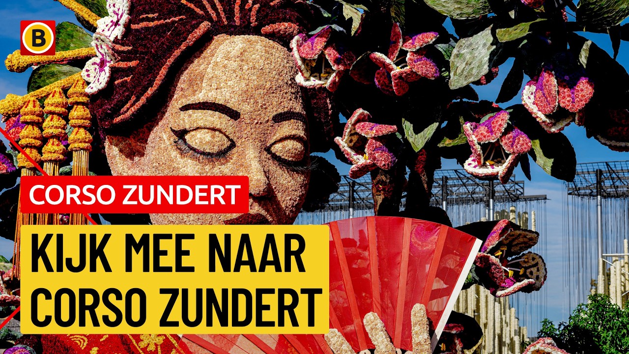 Bloemencorso in Zundert: kijk mee! | Omroep Brabant