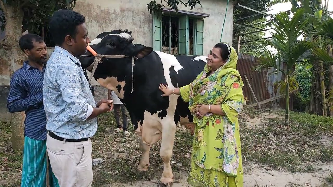নারী উদ্যোক্তার ২০২৫ কুরবানীর সেরা আকর্ষণ