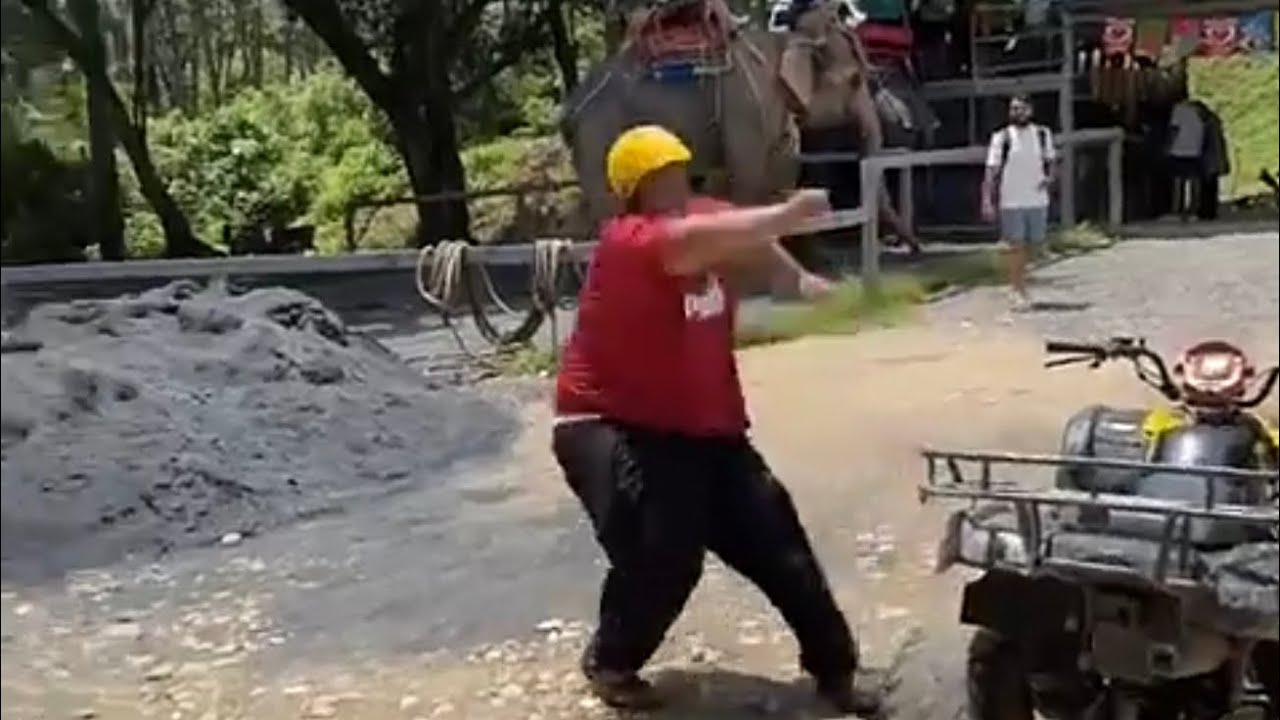 الدب الحساوي خالع