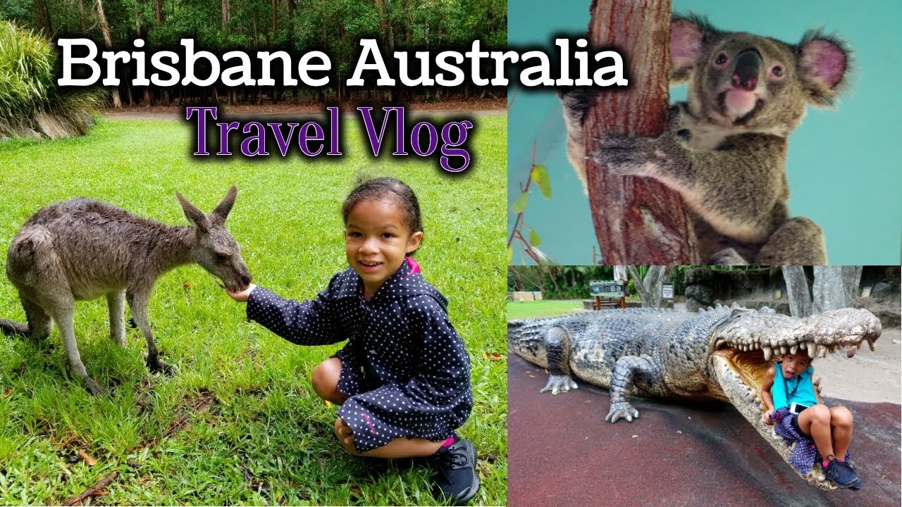 Australia Zoo //  Brisbane Australia w/Kids!