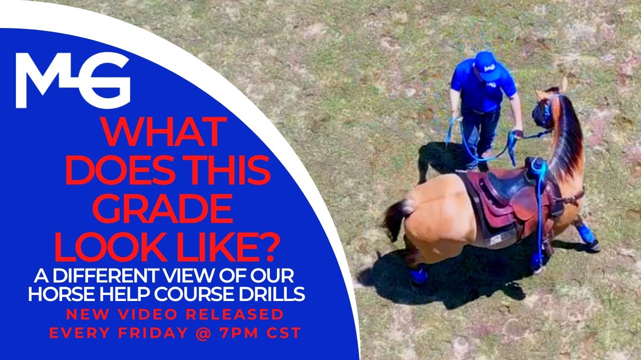 What Does This Grade Look Like? | The Horse Guru - Michael Gascon