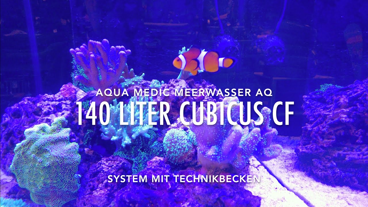 Aqua Medic 140 Liter Cubicus CF  Nano mit Technikbecken Schaubecken Show Reef Tank Version 2022