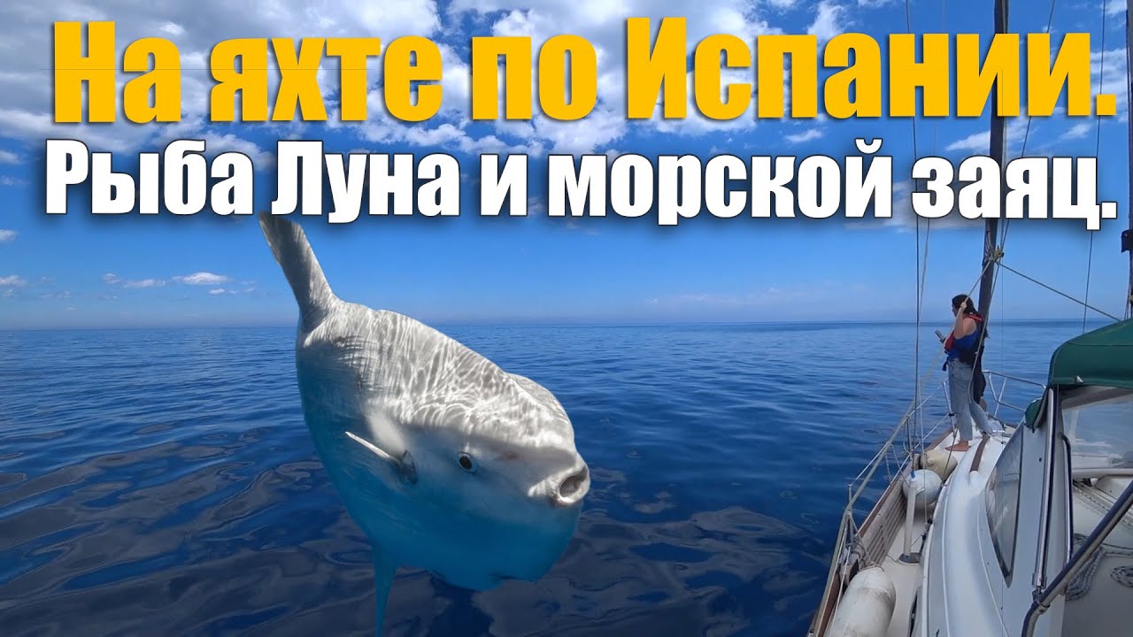 201. Путешествие на яхте из Валенсии в испанское Малое море.