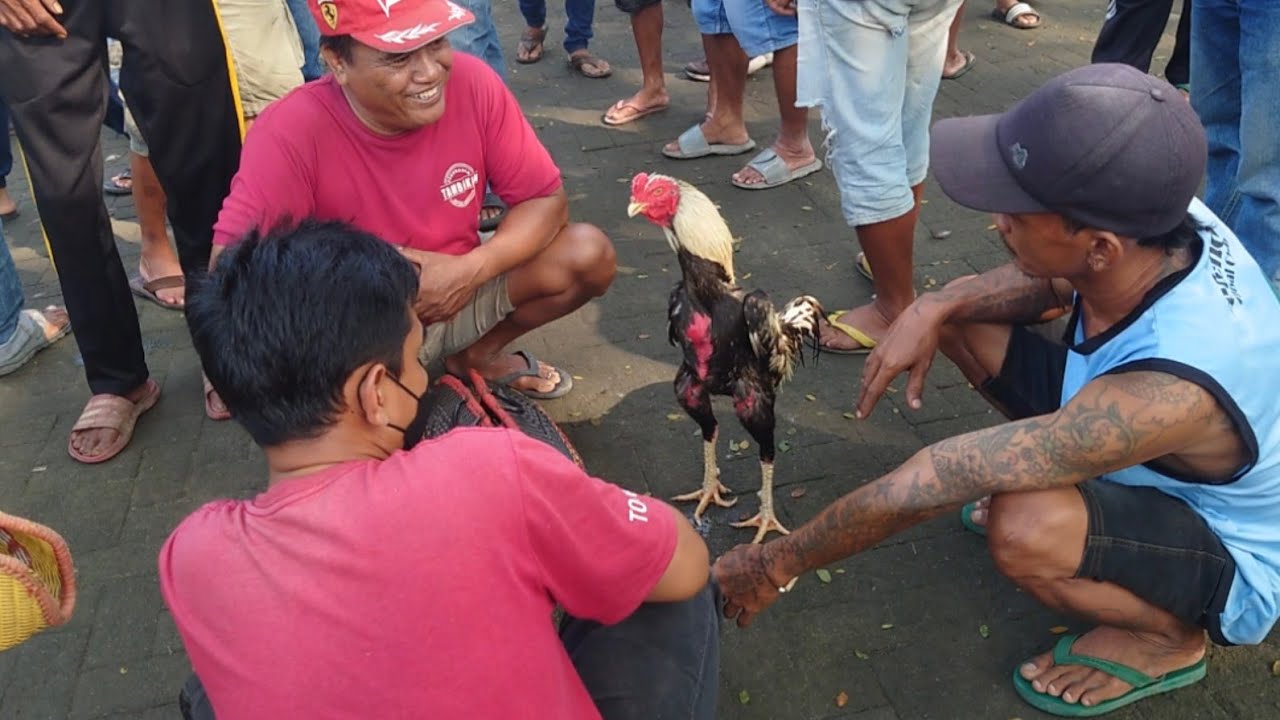 Dolan pasar pahing Wedi Klaten hari ini banyak pilihan