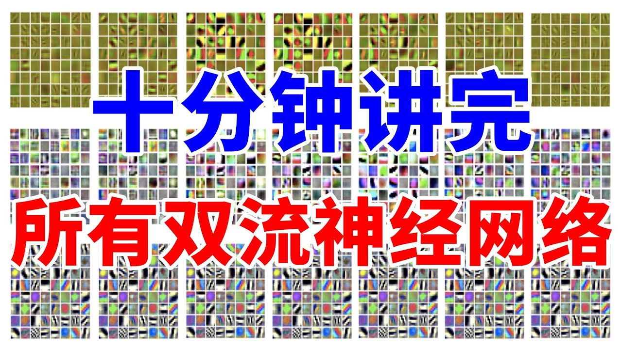 【博士Vlog】全网最全！十分钟看完所有双流神经网络，图片视频处理都在这里了！