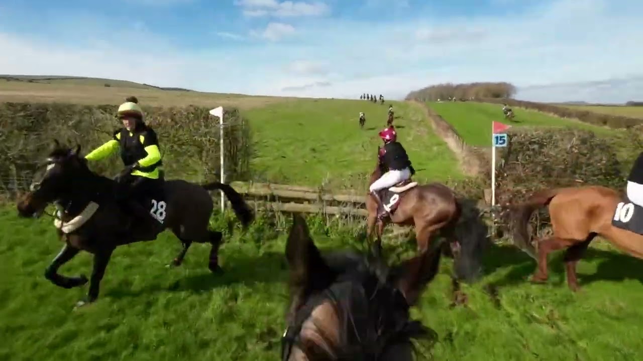 Scurry of East Sussex 2024