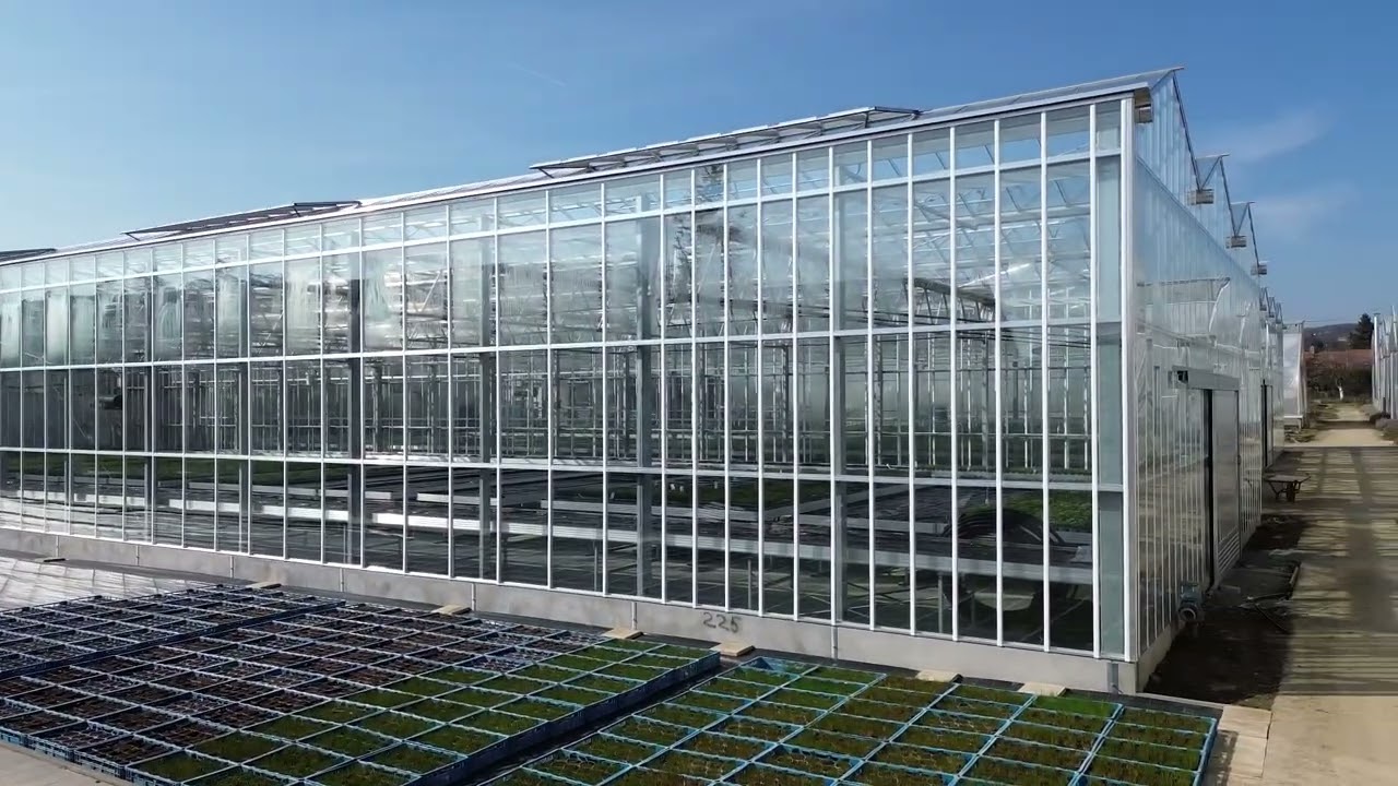 Szklarnia Agro-Sur dla producenta warzyw i kwiatów