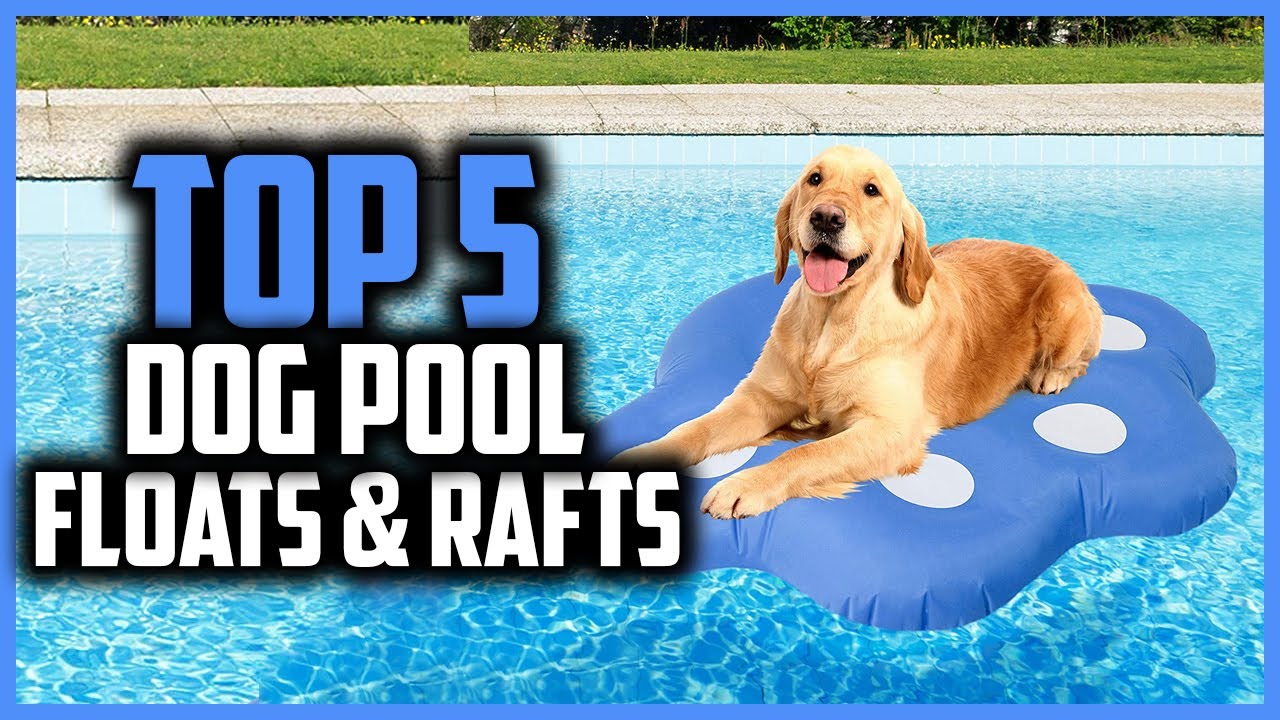 ✅ Top 5 Best Dog Pool Floats & Rafts of 2024