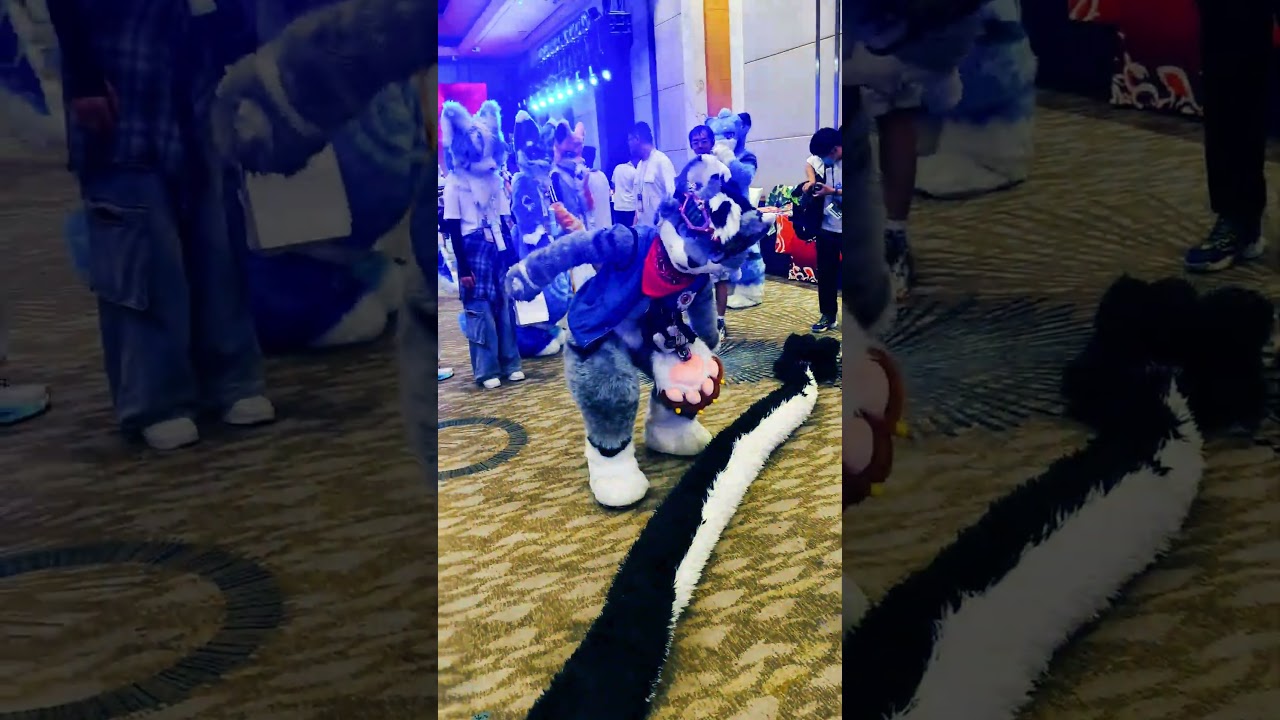 I trip over a long #furry tail at the #furryconvention how do I suppose to walk ！？#fursuit #fyp