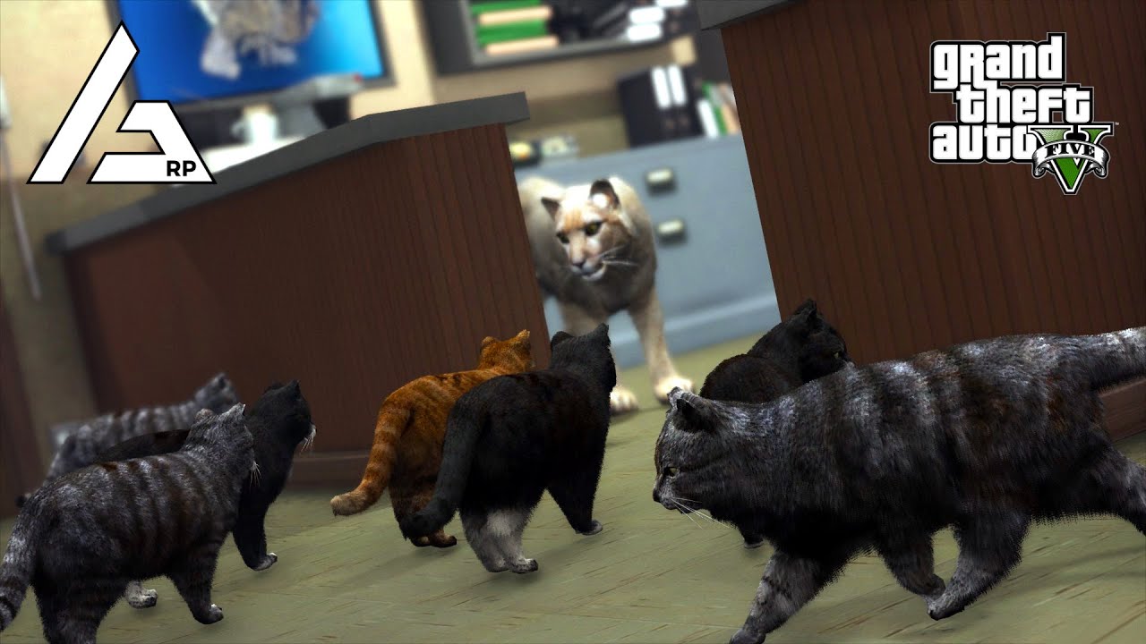 GTA 5 Roleplay - ARP - #517 - Don't Mess With Cats!
