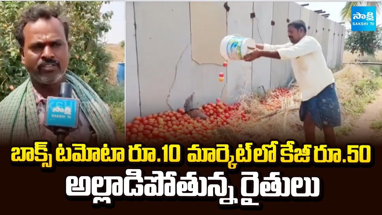 అమాంతం పడిపోయిన టమోటా | Tomato Prices Collapsed | Farmers Requesting Government For Support Price