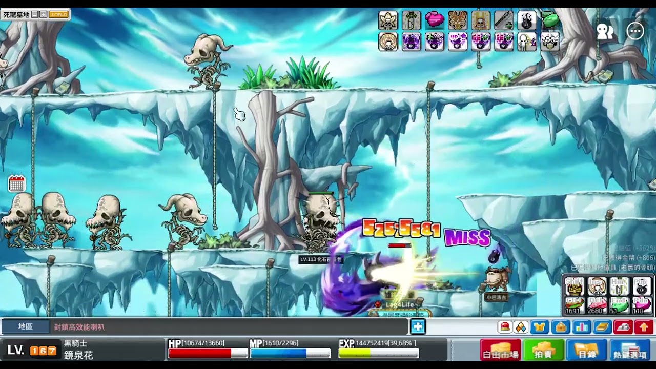 楓之谷Artale 黑騎士 骨龍 長八蛇矛 單練  2,256,801/10M