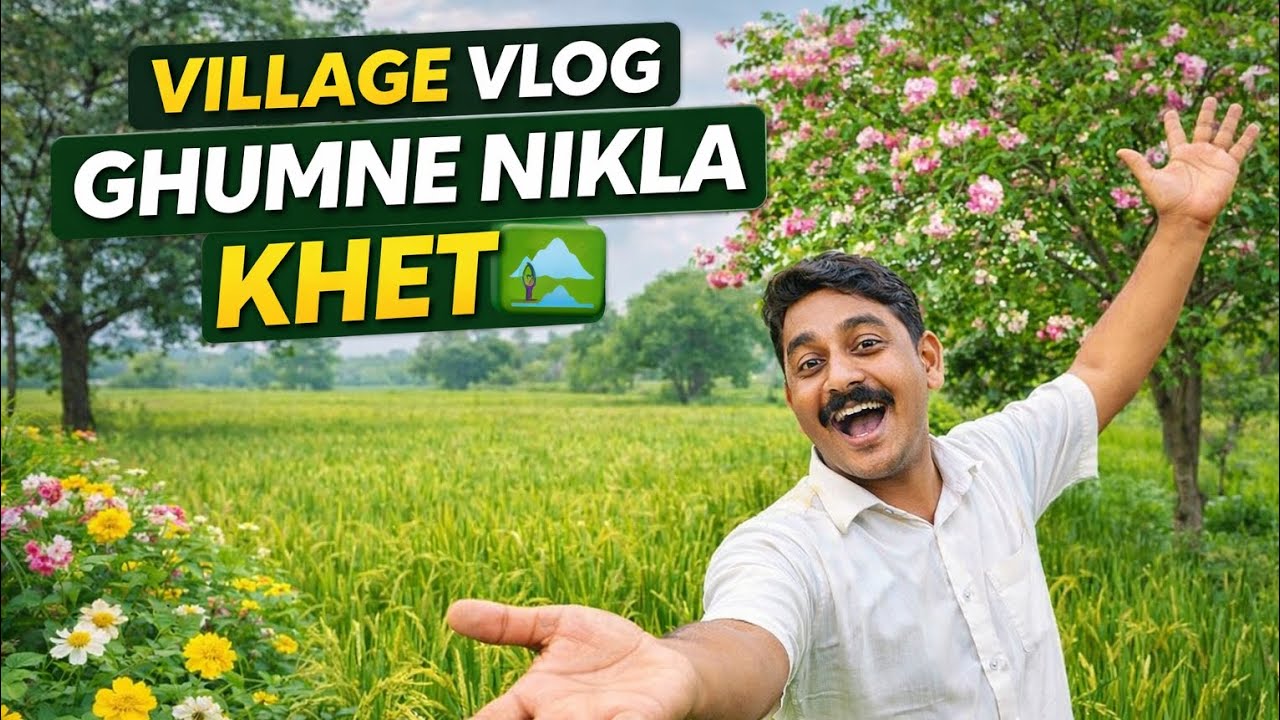 Gaon Ka Sundar Mahol Vlog Hara Bhara Khet 😍 | Dhan Ki Fasal Aur Phoolon Wala Ped 🌸