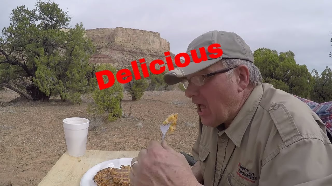 Making Waffles on the Campfire - Using Sourdough Bread - French Toast Waffles