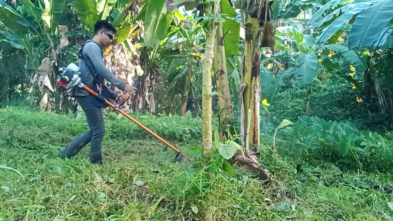 kaaz Kawasaki 2stroke grass cutter review