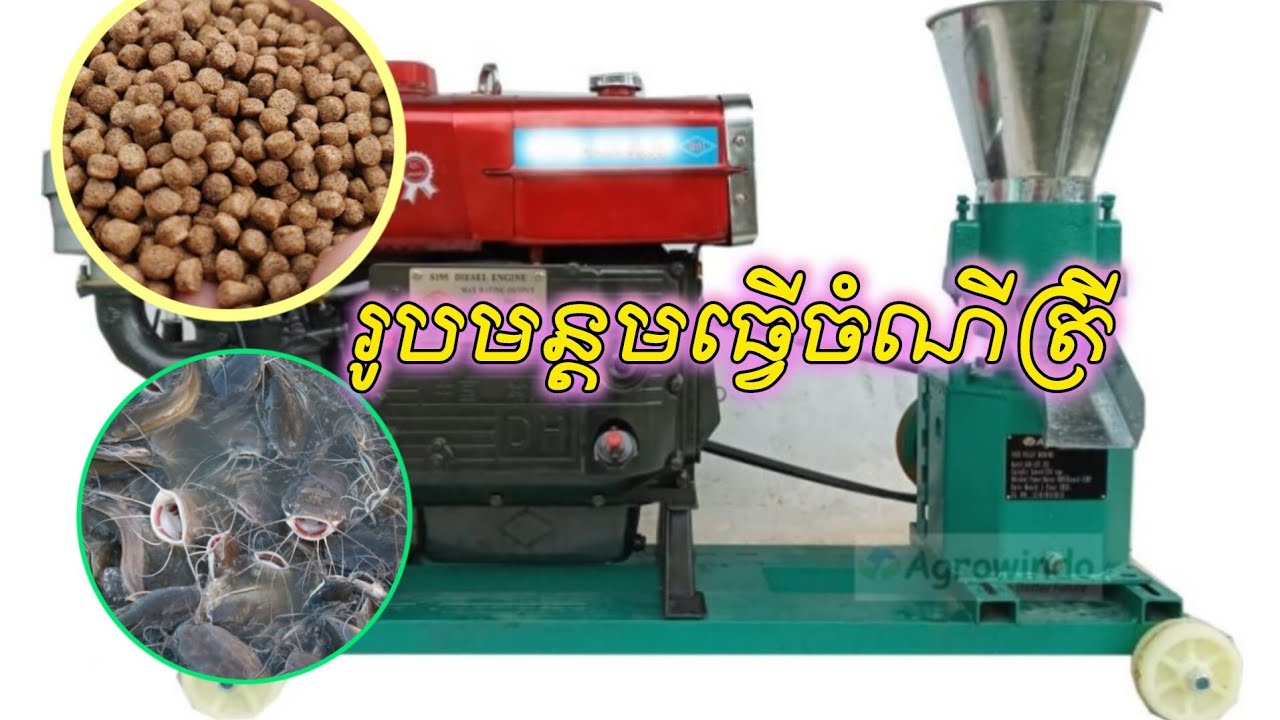 របៀបធ្វើចំណីត្រីដោយខ្លួនឯង