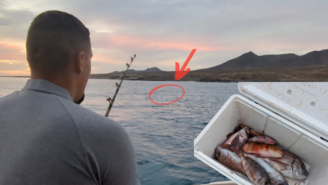 Angeln auf Fuerteventura | Diese MÖGLICHKEITEN habt Ihr 🎣🔥
