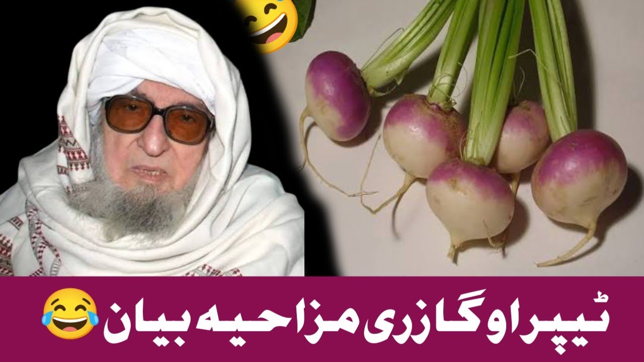 Da tiper aw ghazre mzahya bayan #mulanabijlegar saib #islamic #bayan 