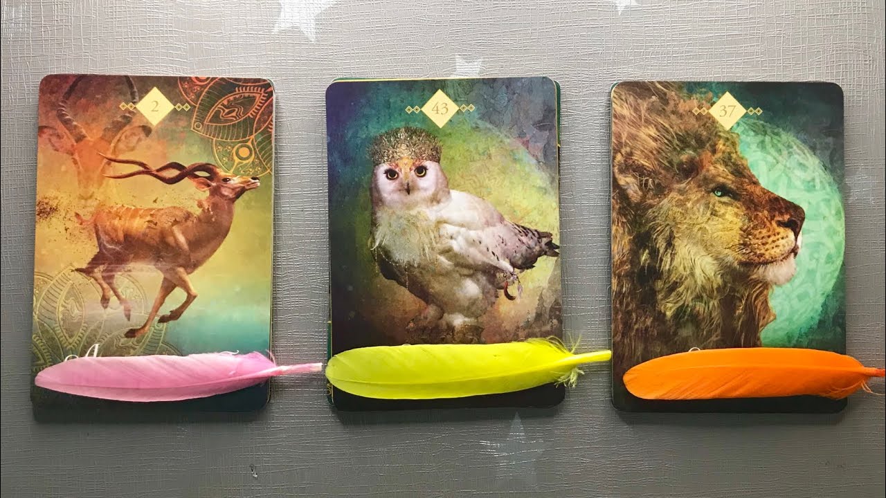 💌 Pick a Card | 👩🏻‍🎓📚✈️ Career Messages For You | Career Tarot Reading 📖 | Teacup Tarot ☕️
