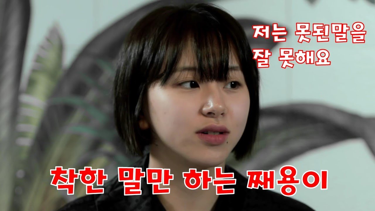 [TWICE] 트와이스 채영 - 싸우는걸 싫어하고 못된말을 잘 못하는 째용이 - 귀여운 아기맹수 채영이는 착한말만 해요