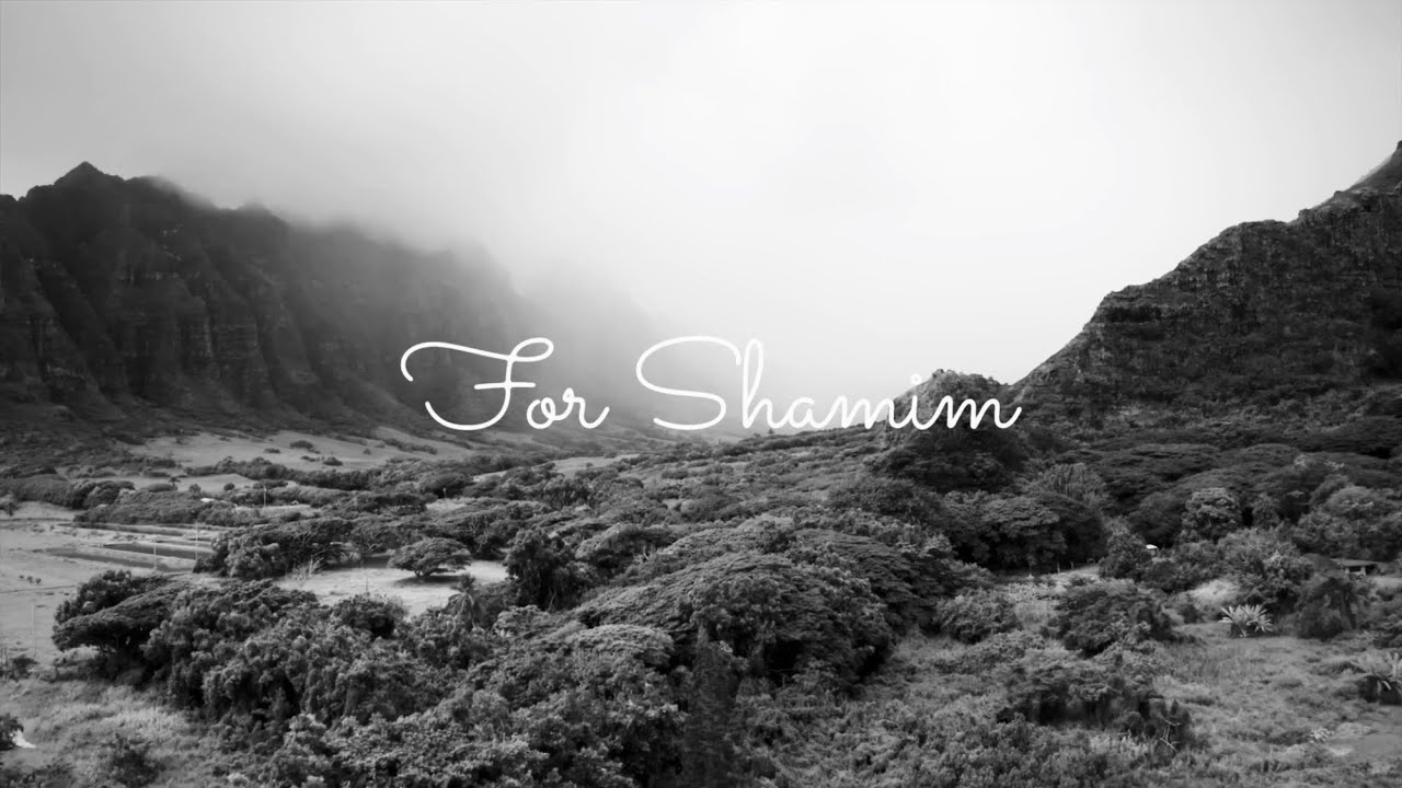 ANATHEMA - Parisienne Moonlight (unofficial video - made by maik for shamim)