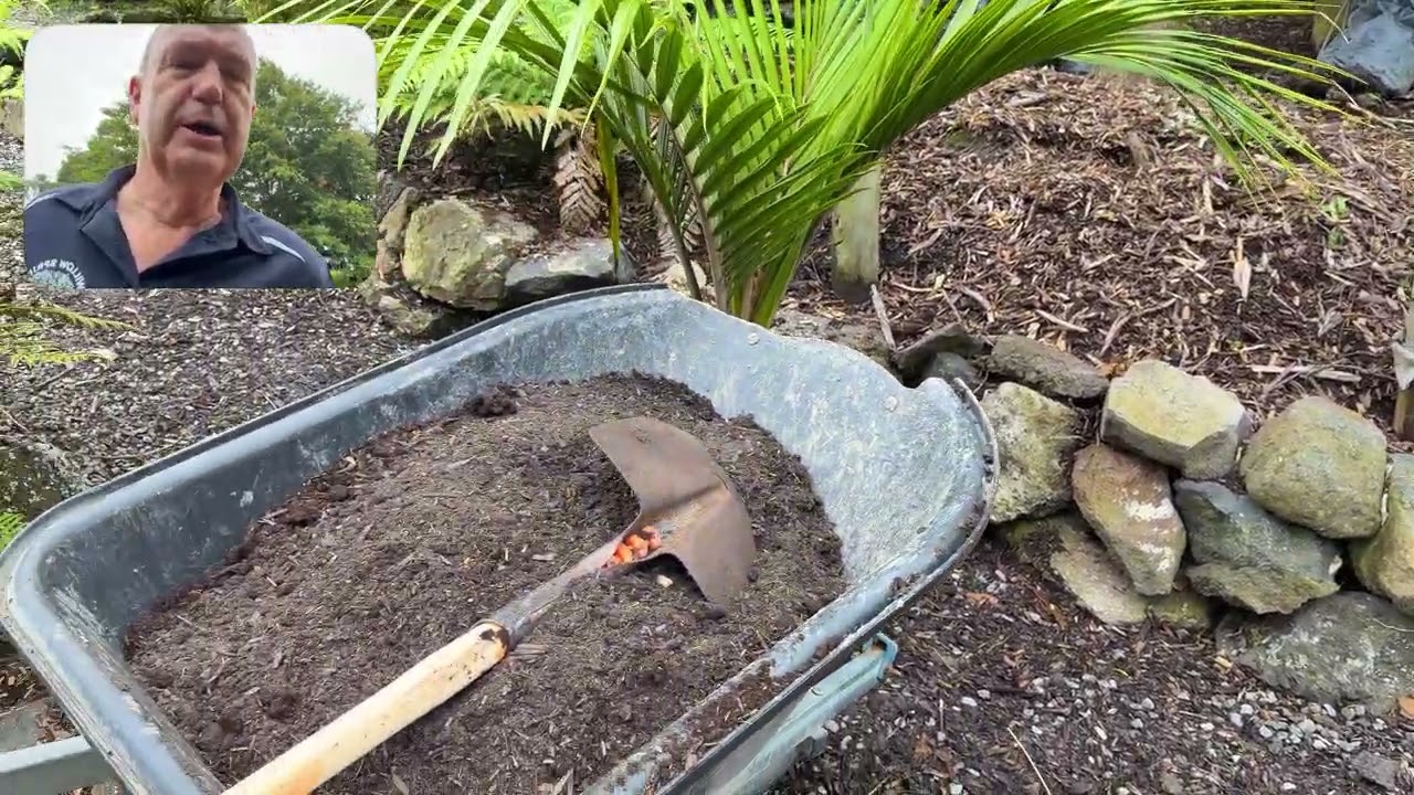 Locking the stones in place naturally, and adding kneecap palms to frame the entrance to this space.