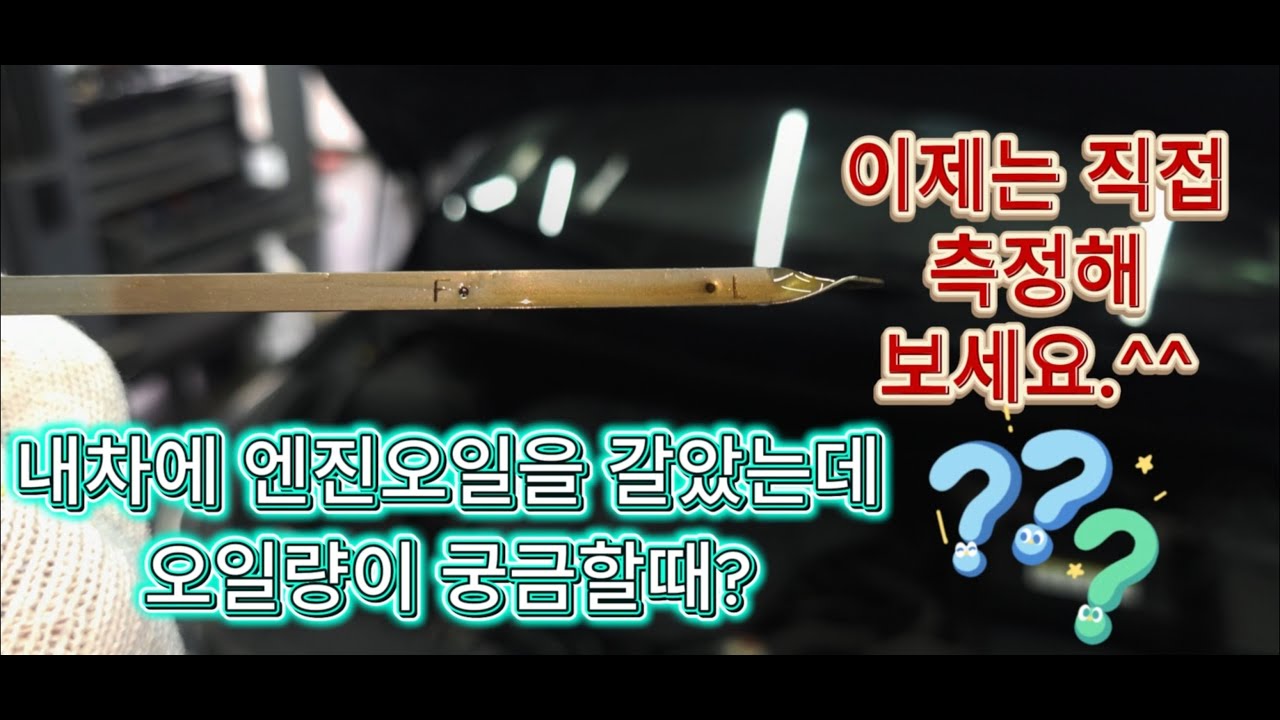 엔진오일량시동전후측정방법#내차오일량이궁금하다면?#내차오일량체크이제는직접해보세요#car#plants