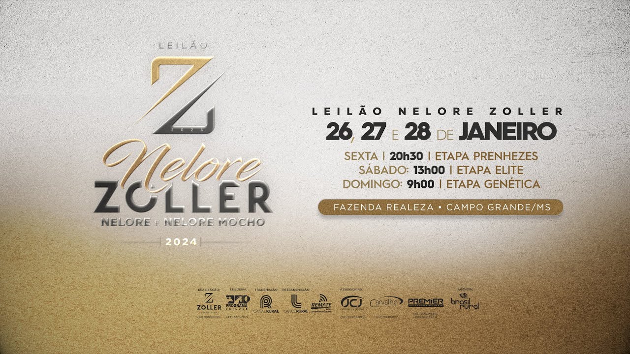 PECUÁRIA EM FOCO - LEILÃO NELORE ZOLLER 2024