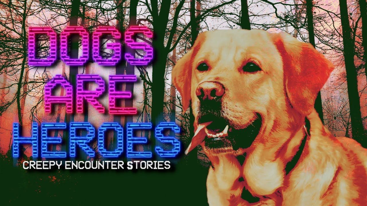 My Dog Saved My Life | True Scary Stories From Reddit