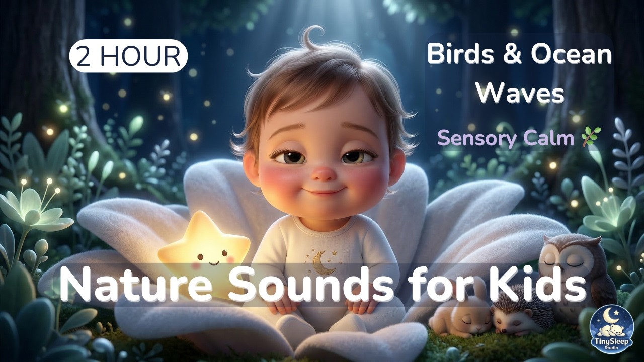 Calm Nature Sounds for Kids 🌲 Forest Birds & Ocean Waves (Sensory Play & Relax) | TinySleep Studio