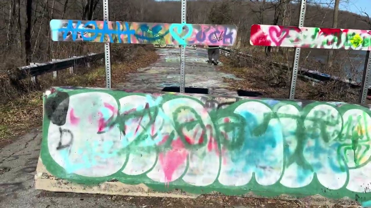 Exploring parts of Reading, PA and it's forests 2/06/2024 vlog 11