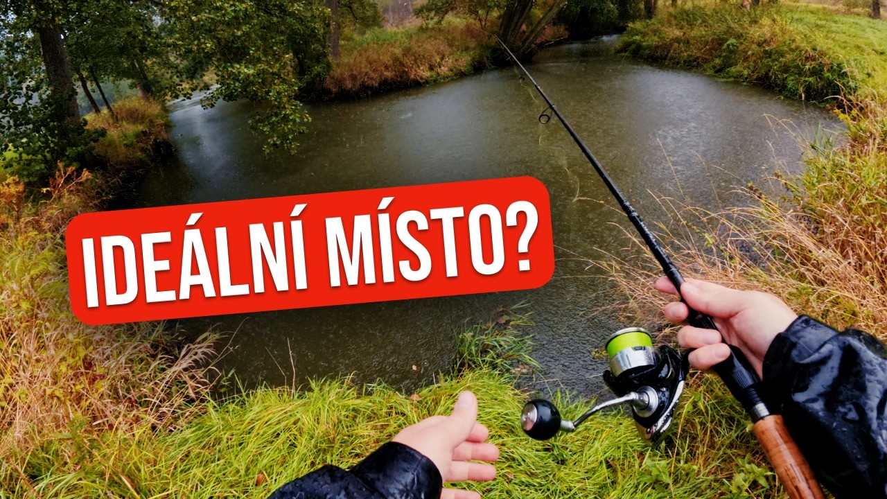 🌧️ Nezn&aacute;m&aacute; řeka, &scaron;patn&eacute; počas&iacute; &ndash; jak dopadl lov dravců?
