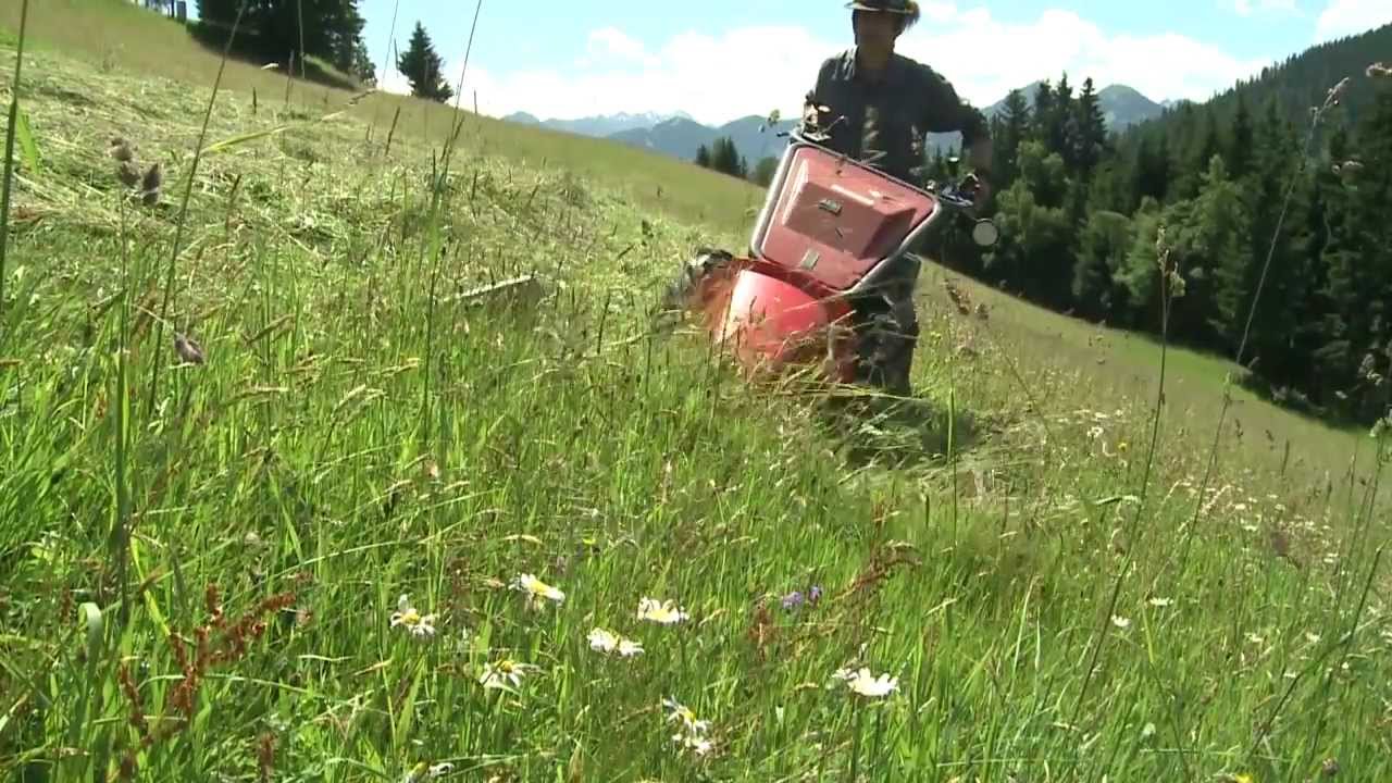Salzburger Wiesenmeisterschaft 2011