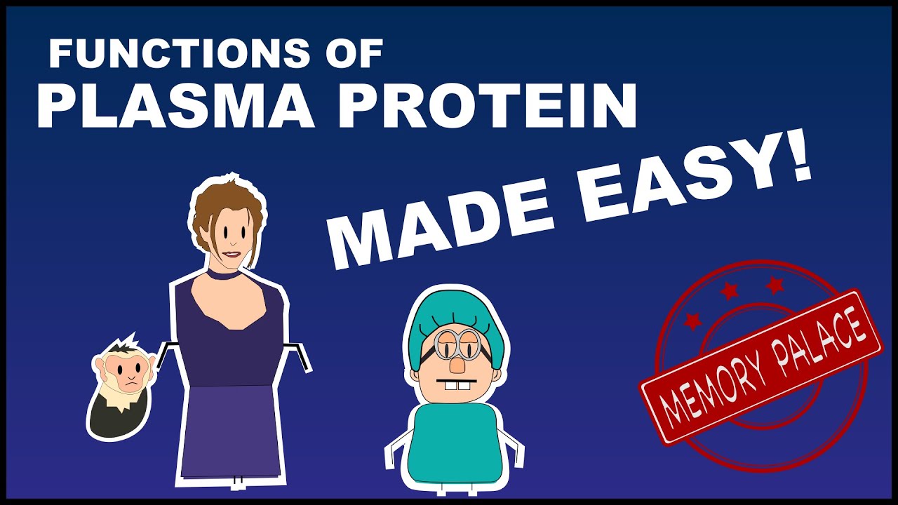 Functions of PLASMA PROTEIN