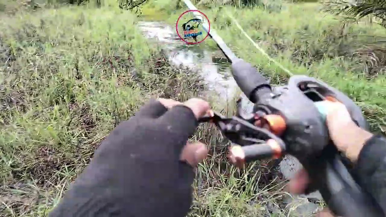 STRIKE DIAWAL MANCING