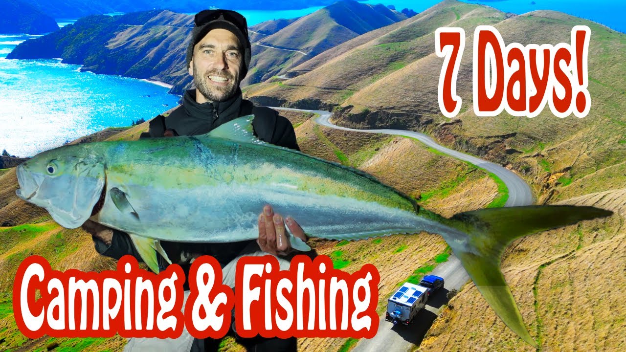 Camping & Fishing at French Pass Is Insane - Big Kingfish, Crazy Adventure!!!