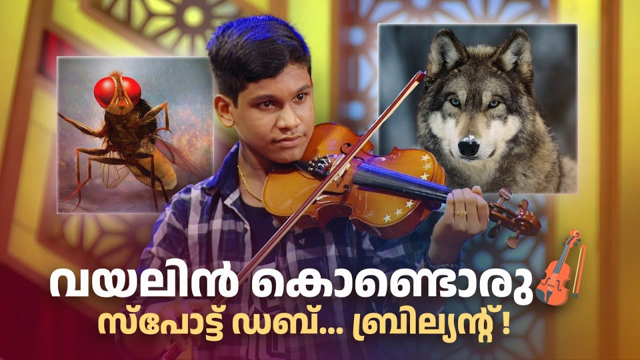 വയലിൻ കൊണ്ടൊരു സ്പോട്ട് ഡബ്… ബ്രില്യന്റ് ! 🎻🔥  | COMEDY MASTERS #amritatvarchives #comedy
